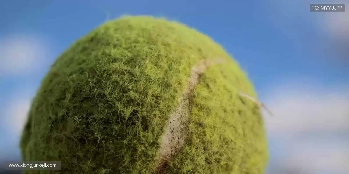 🎮 实时弹幕，互动不停！边看边聊，你的声音让直播更有温度！